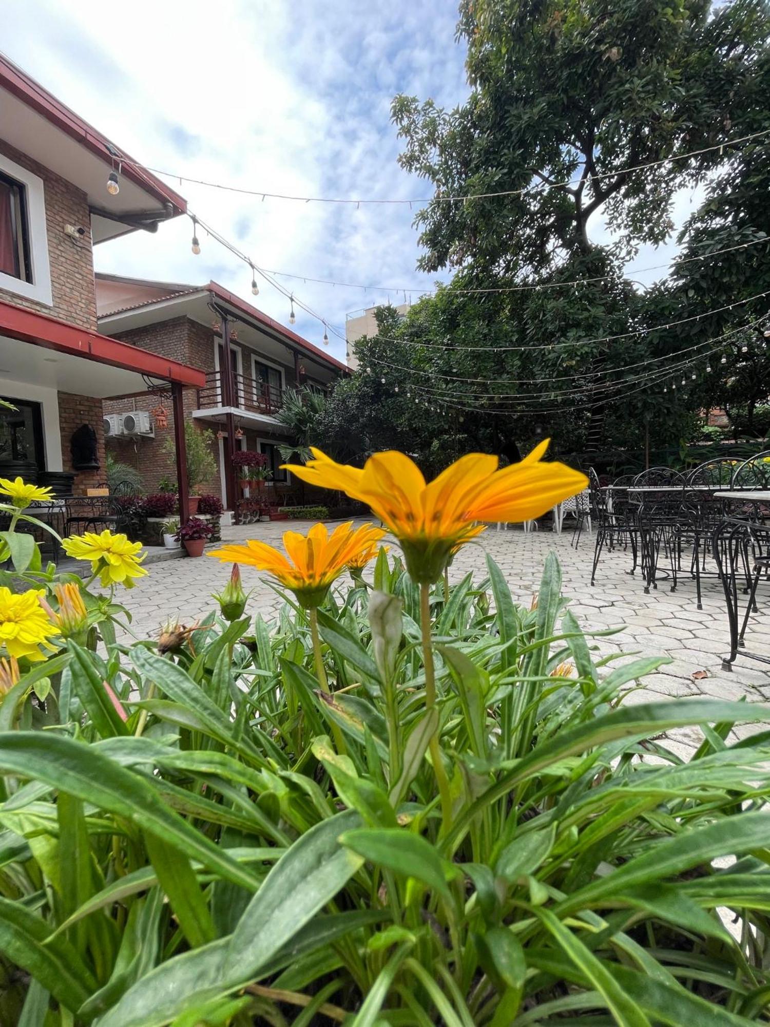 Nepal Cottage Resort Катманду Екстериор снимка